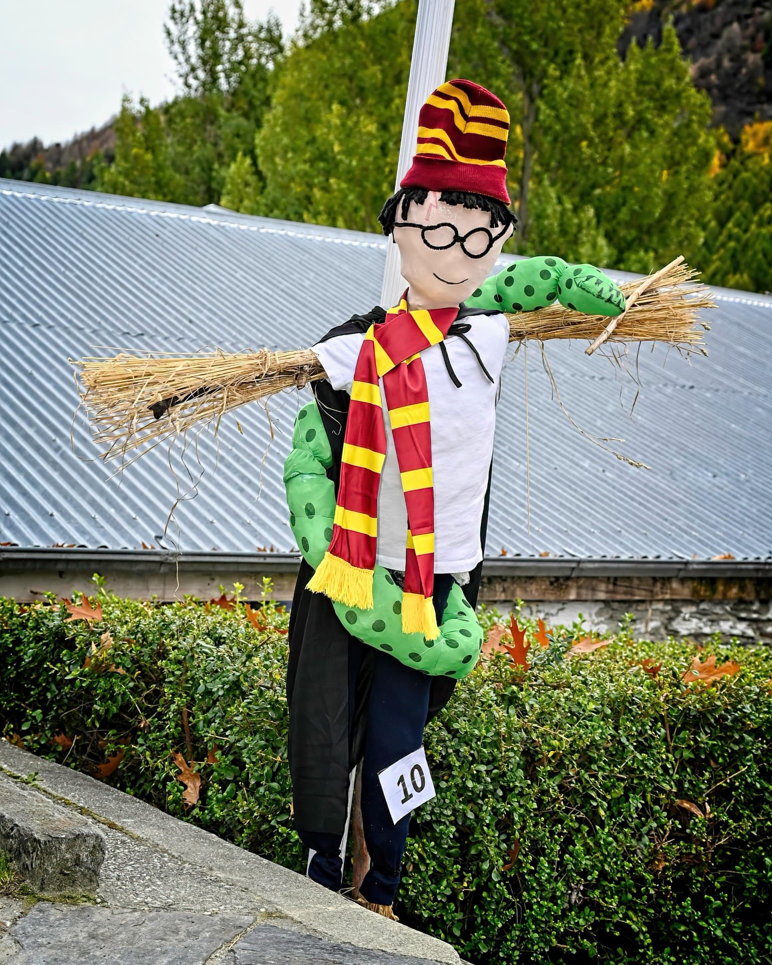 Scarecrows DSC_7053-T